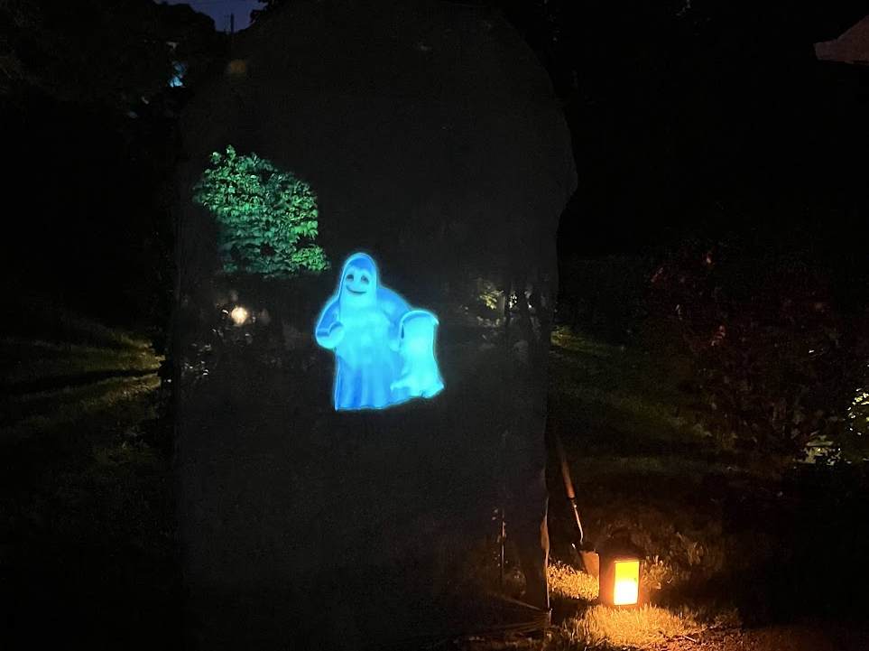 Holographic Ghosts