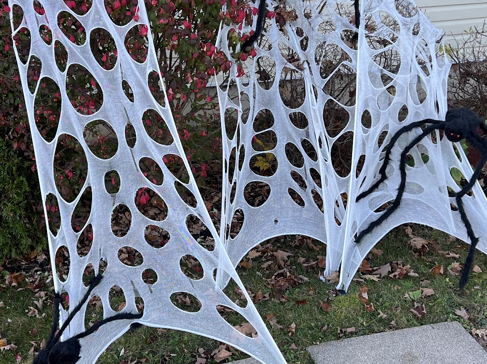 Webs